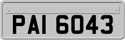 PAI6043