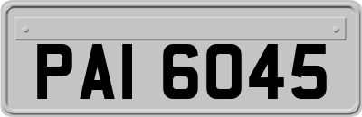 PAI6045