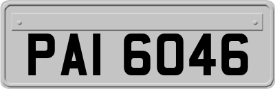 PAI6046