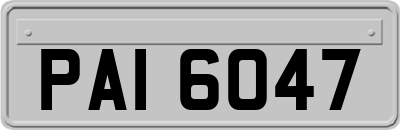 PAI6047