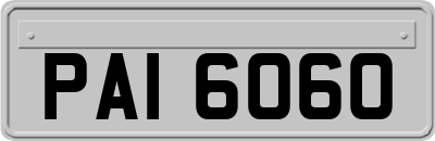 PAI6060