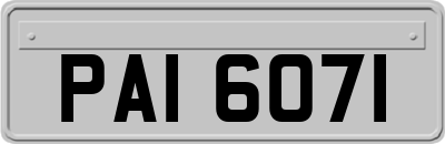 PAI6071