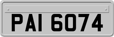 PAI6074