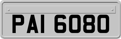 PAI6080