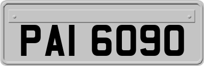 PAI6090