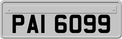 PAI6099