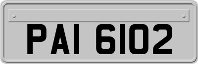 PAI6102