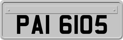 PAI6105