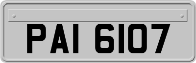 PAI6107