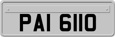 PAI6110