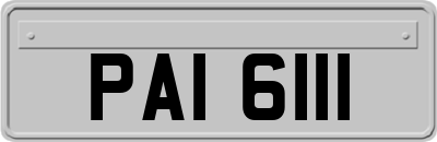 PAI6111