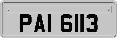 PAI6113