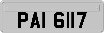 PAI6117