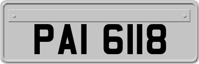 PAI6118