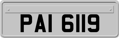 PAI6119