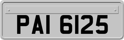 PAI6125