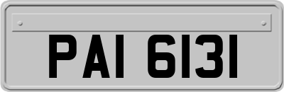 PAI6131