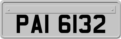 PAI6132
