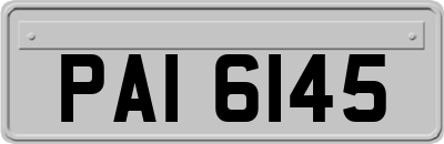 PAI6145