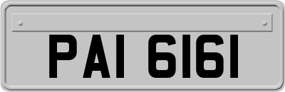 PAI6161