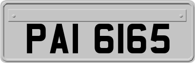 PAI6165