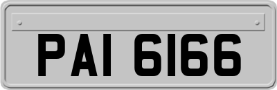 PAI6166
