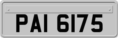PAI6175