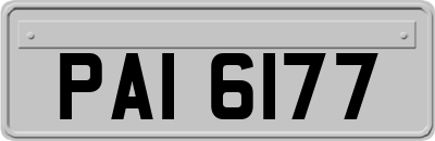 PAI6177