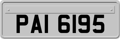 PAI6195