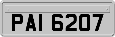 PAI6207