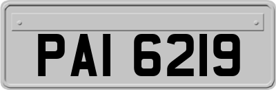 PAI6219