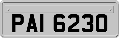 PAI6230
