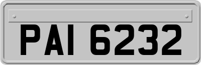 PAI6232