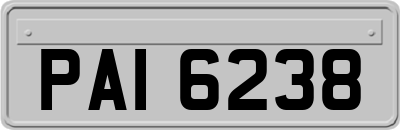 PAI6238