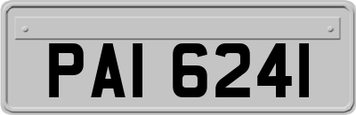 PAI6241