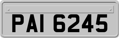 PAI6245