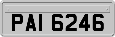 PAI6246