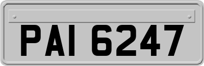 PAI6247