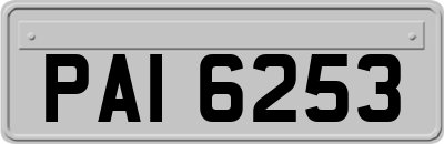 PAI6253