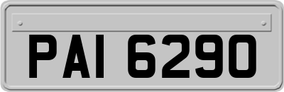 PAI6290