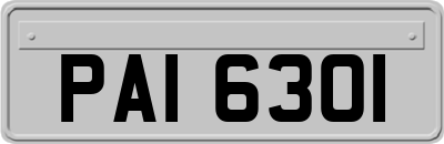 PAI6301