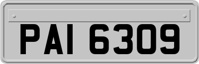 PAI6309
