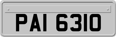 PAI6310