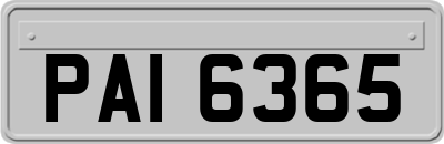 PAI6365