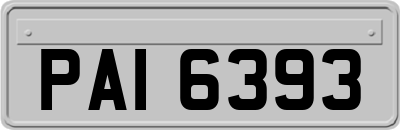 PAI6393