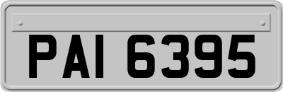 PAI6395