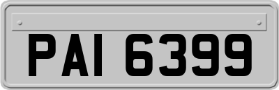 PAI6399