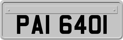 PAI6401