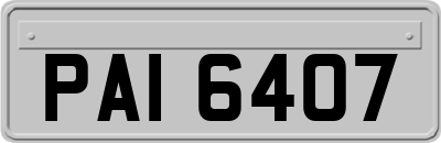 PAI6407