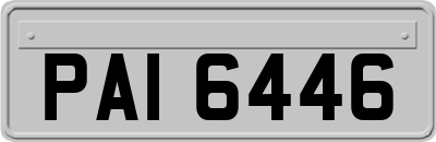 PAI6446